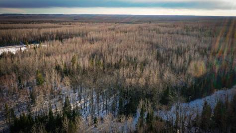 Tbd Parcel S Thomas Road Tower MN 55790