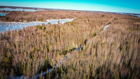 Tbd Parcel S Thomas Road Tower MN 55790