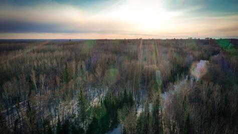 Tbd Parcel S Thomas Road Tower MN 55790