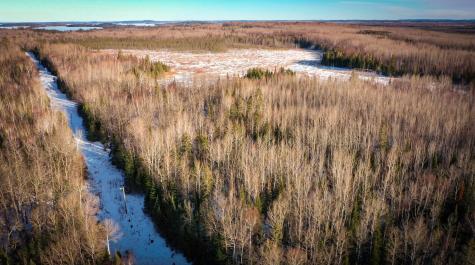 Tbd Parcel S Thomas Road Tower MN 55790