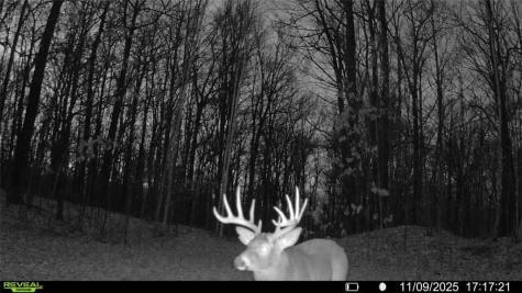 Block 9 Comet Road Exeland WI 54835