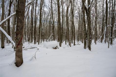 Block 9 Comet Road Exeland WI 54835