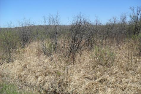 35XXX 100th Avenue Onamia MN 56359