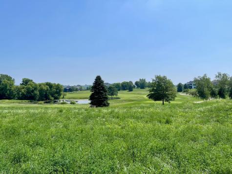 1444 Delamere Drive NE Byron MN 55920