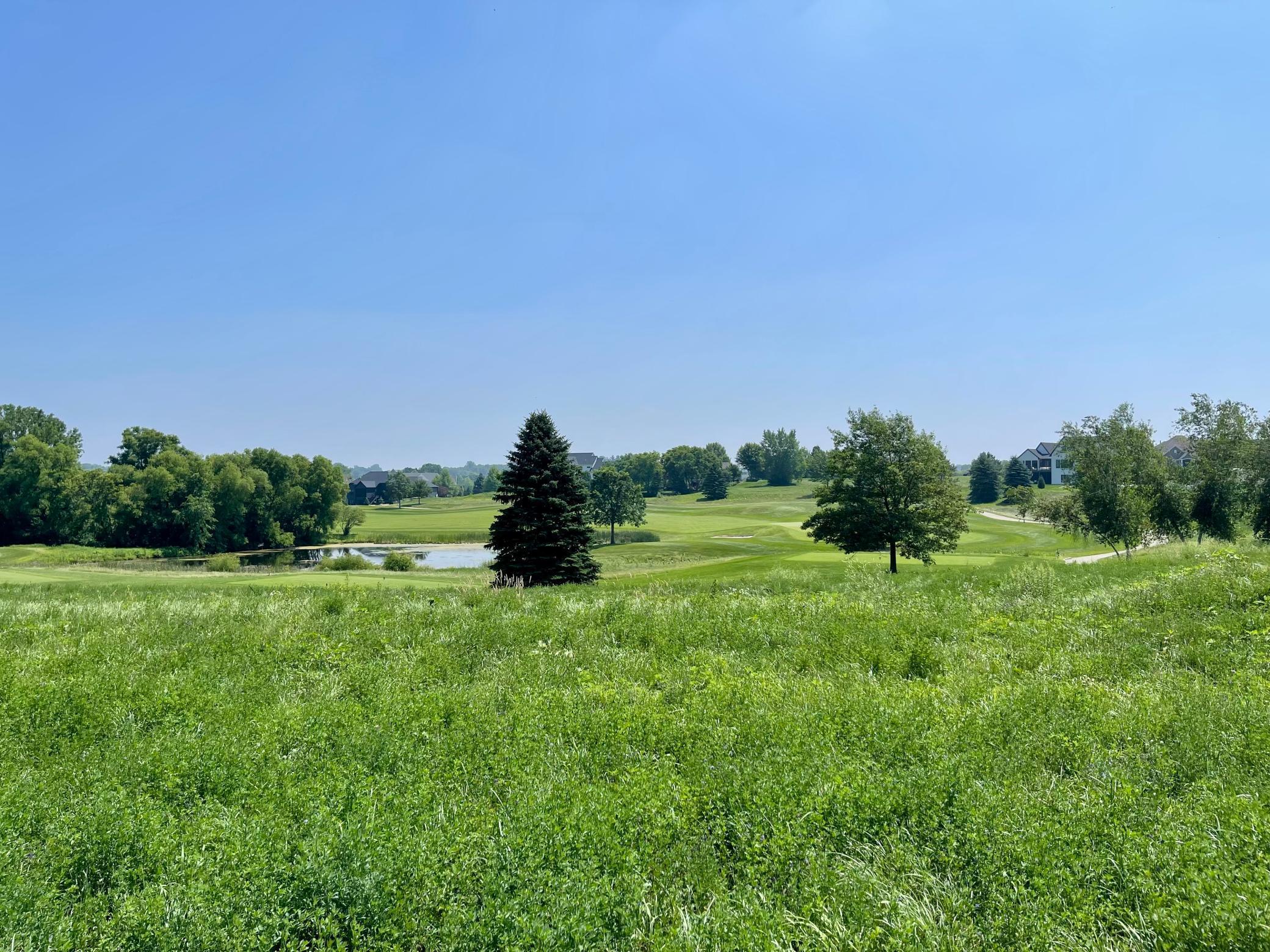 1444 Delamere Drive NE Byron MN 55920