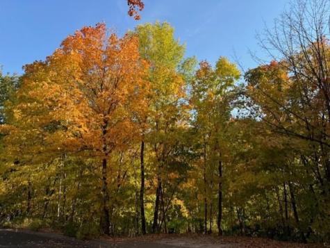 5123 Waterbury Road Mound MN 55364