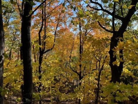 5123 Waterbury Road Mound MN 55364