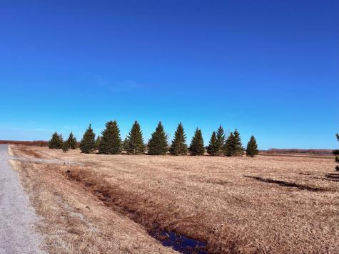 Lot 1 Badger Rd NW Baudette MN 56623