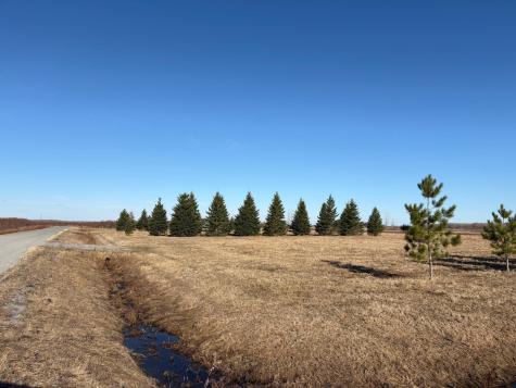 Lot 1 Badger Rd NW Baudette MN 56623