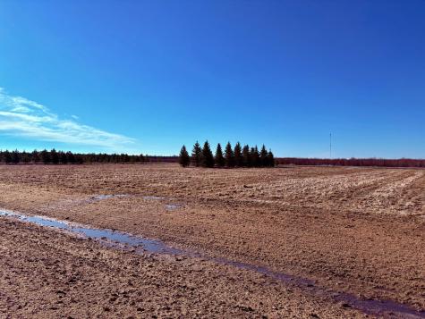 Lot 1 Badger Rd NW Baudette MN 56623