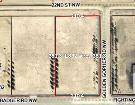 Lot 1 Badger Rd NW Baudette MN 56623