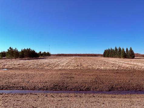 Lot 1 Badger Rd NW Baudette MN 56623