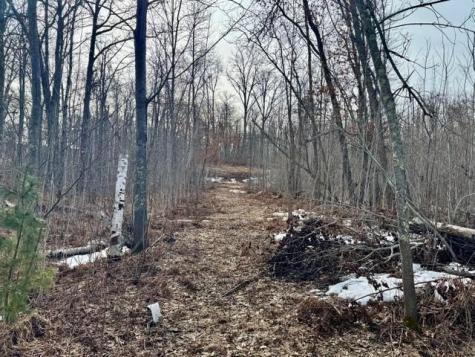 Lot 4 Blk 1 216th Place Mcgregor MN 55760