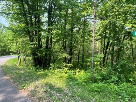 Tbd Dettbarn Road Nisswa MN 56468