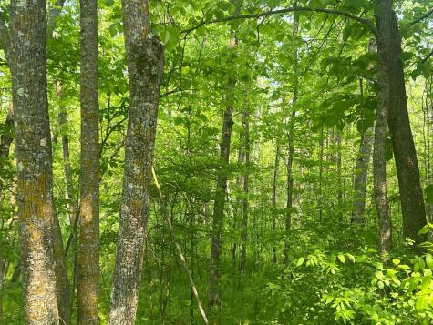 Tbd Dettbarn Road Nisswa MN 56468