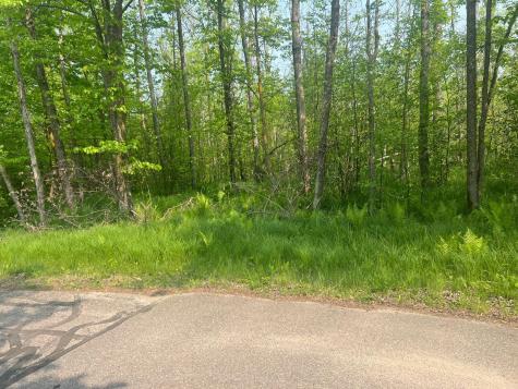 Tbd Dettbarn Road Nisswa MN 56468