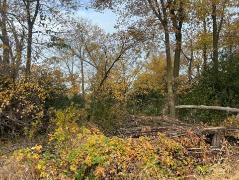 Tbd- County 24 Boulevard Cannon Falls MN 55009
