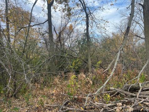 Tbd- County 24 Boulevard Cannon Falls MN 55009