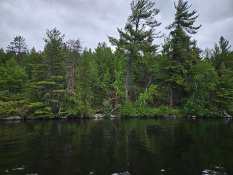 Xxx Hinsdale Island Cook MN 55723