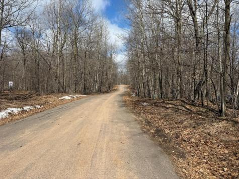 Tbd Ripley Spur Road Sarona WI 54870