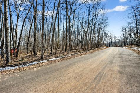 Tbd Ripley Spur Road Sarona WI 54870