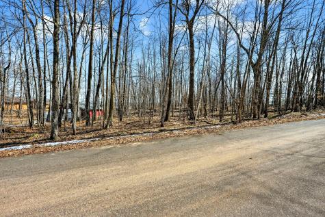 Tbd Ripley Spur Road Sarona WI 54870