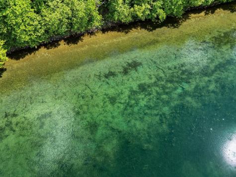 350xx 452nd Street A5 Vergas MN 56587