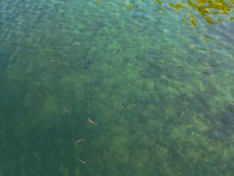 350xx 452nd Street A5 Vergas MN 56587