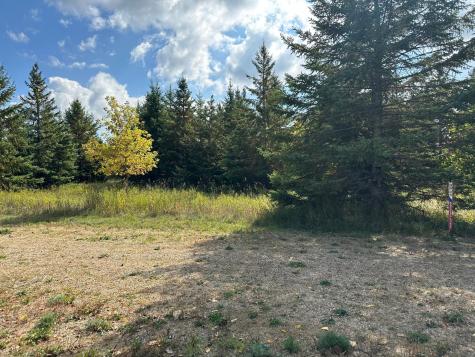 26783 Lidstrom Road Detroit Lakes MN 56501