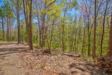 0 Ranch Road Stone Lake WI 54876
