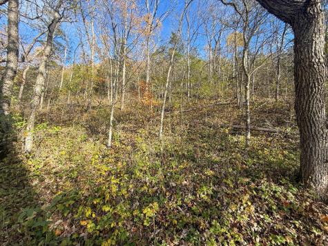 Tbd County 26 Houston MN 55943