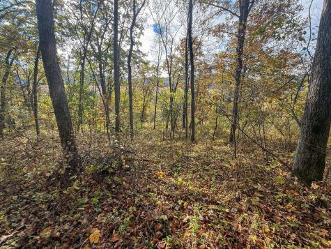 Tbd County 26 Houston MN 55943
