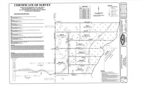 Tbd - Tract 3 Ticonderoga Trail Hackensack MN 56425