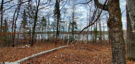 Tbd - Tract 3 Ticonderoga Trail Hackensack MN 56425