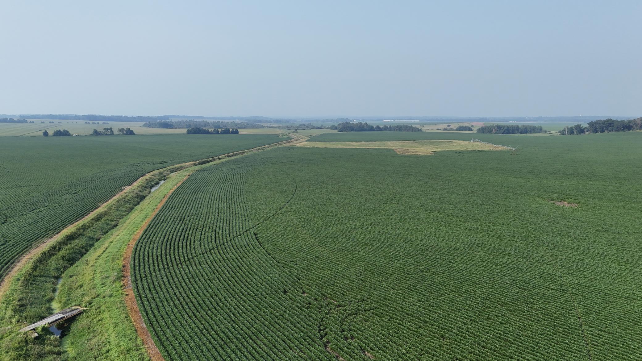 Tbd County 61 Browerville MN 56438