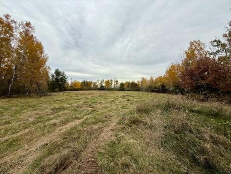Tbd Inglewood Drive Baxter MN 56447