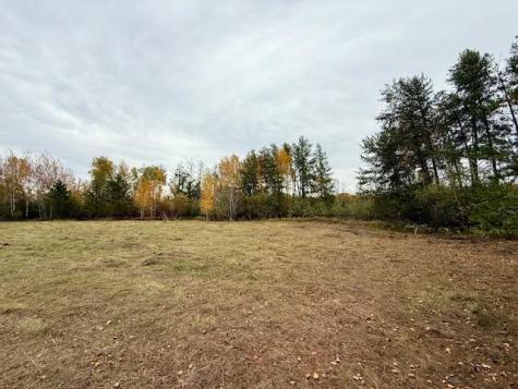 Tbd Inglewood Drive Baxter MN 56447
