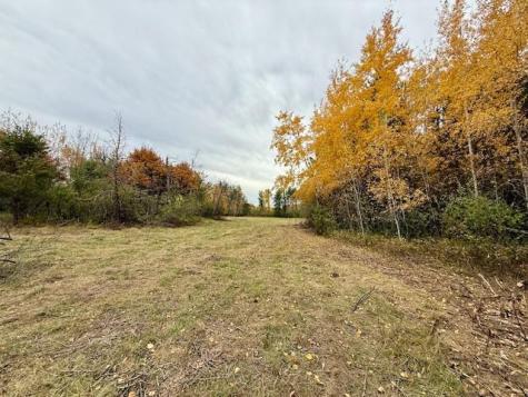 Tbd Inglewood Drive Baxter MN 56447