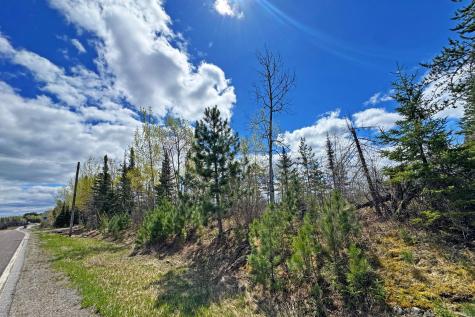 0000 County Highway 77 Tower MN 55790