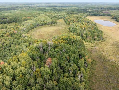 Lot A Sandbar Lane Merrifield MN 56465