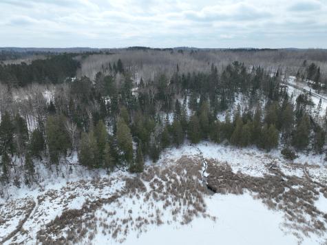 TBD-3 Christmas Point Road NW Walker MN 56484