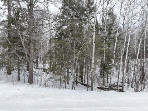 TBD-3 Christmas Point Road NW Walker MN 56484