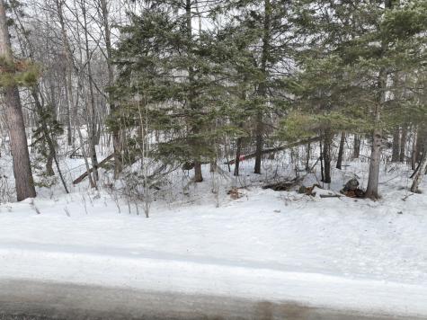 TBD-3 Christmas Point Road NW Walker MN 56484