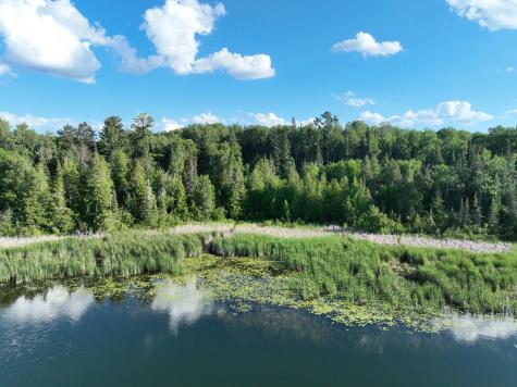 TBD-3 Christmas Point Road NW Walker MN 56484