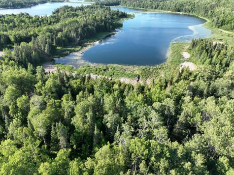 TBD-3 Christmas Point Road NW Walker MN 56484