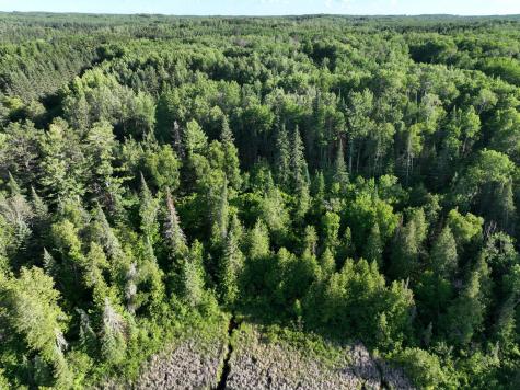 TBD-3 Christmas Point Road NW Walker MN 56484