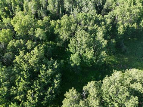 TBD-3 Christmas Point Road NW Walker MN 56484