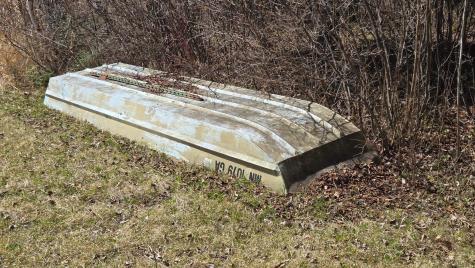 Tbd 43 Lummi Road Orr MN 55771