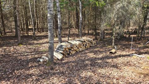 Tbd 43 Lummi Road Orr MN 55771