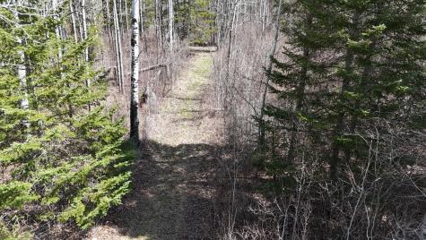 Tbd 43 Lummi Road Orr MN 55771